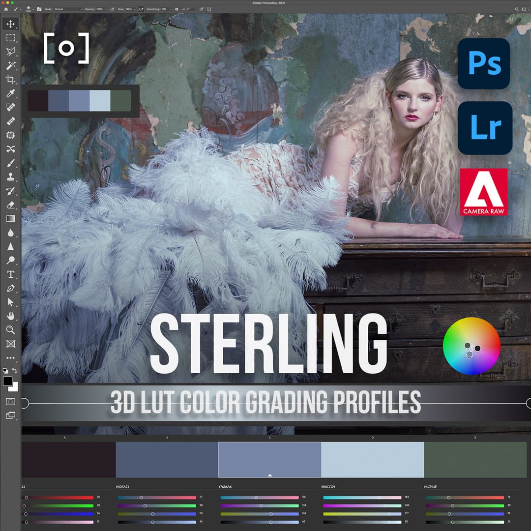 PRO EDU 3D LUT Profile Sterling Lightroom & Photoshop Color Grading Sef & Earth PRO EDU