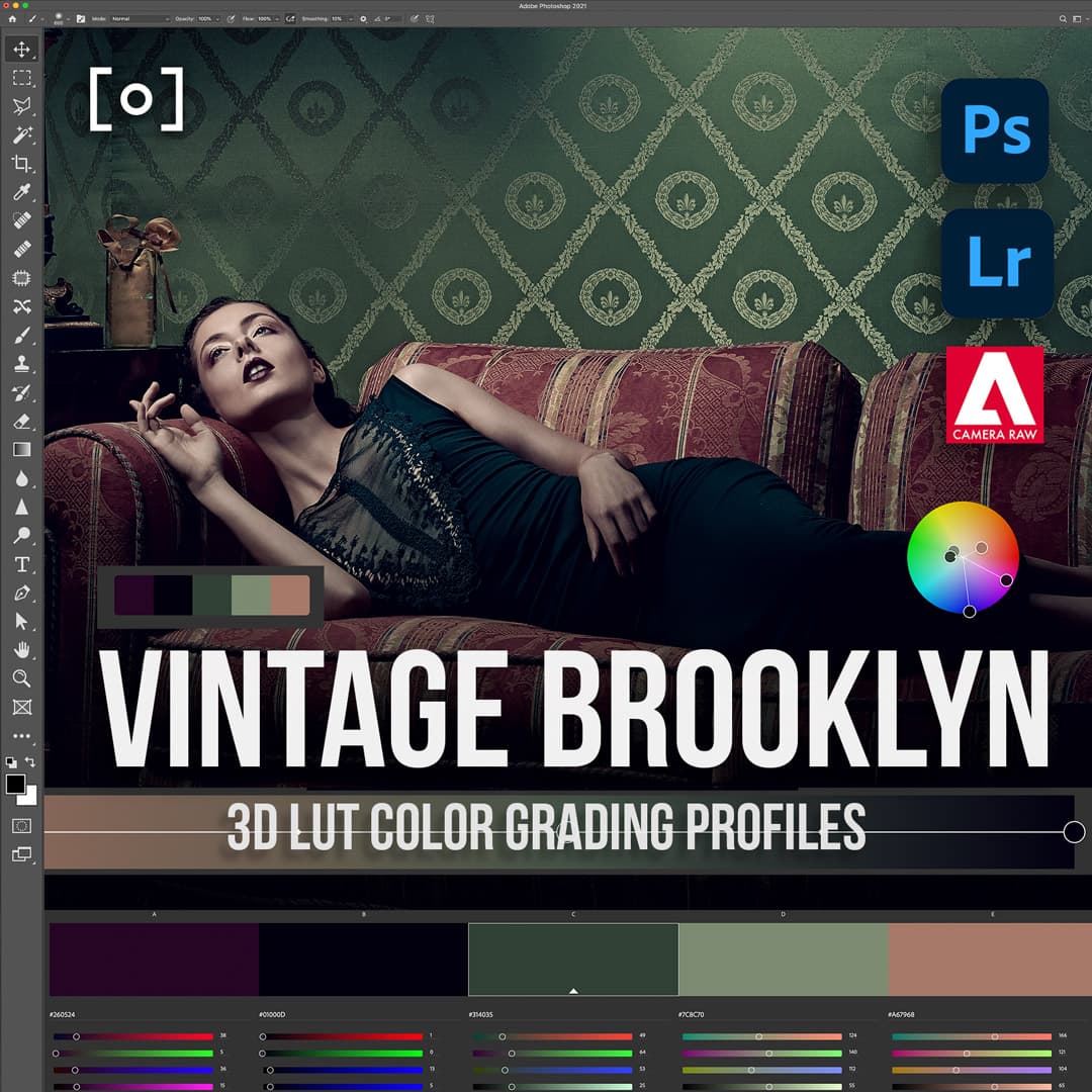 3D LUT Photoshop Profile Vintage Brooklyn - PRO EDU Sef & Earth PRO EDU
