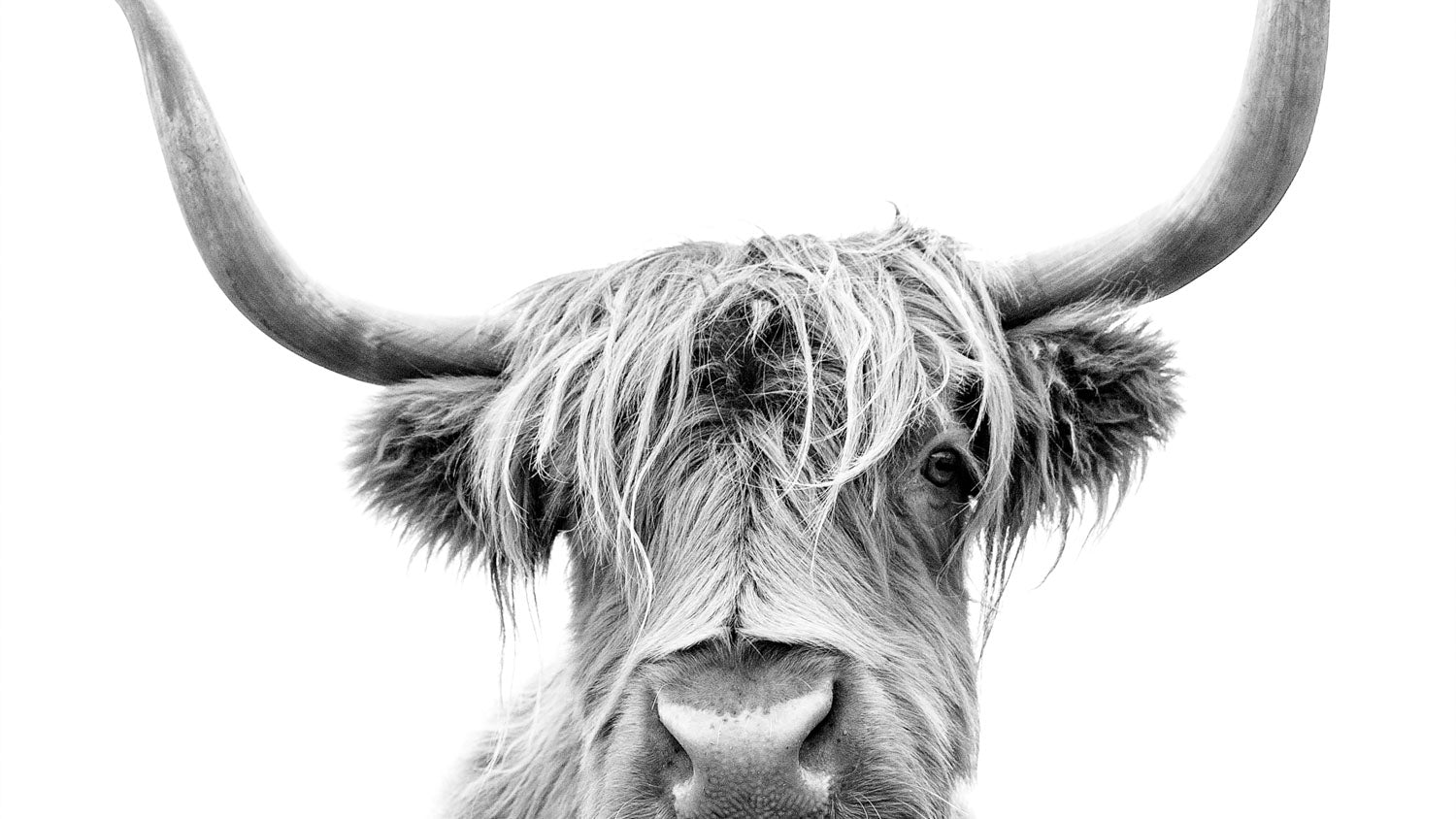 All-white 168一分钟极速赛车飞艇官网 elegant photoshoot setup